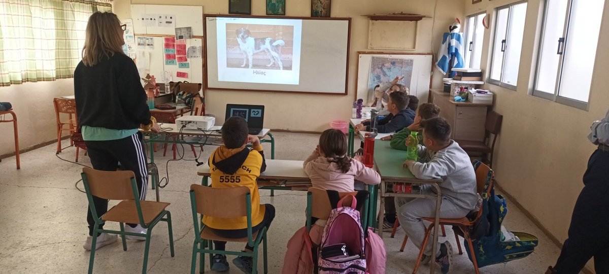 Save a Greek Stray" with the educational program "Following a Quadruped Friend: The World of Pets" visited the primary schools of Pyrgos.