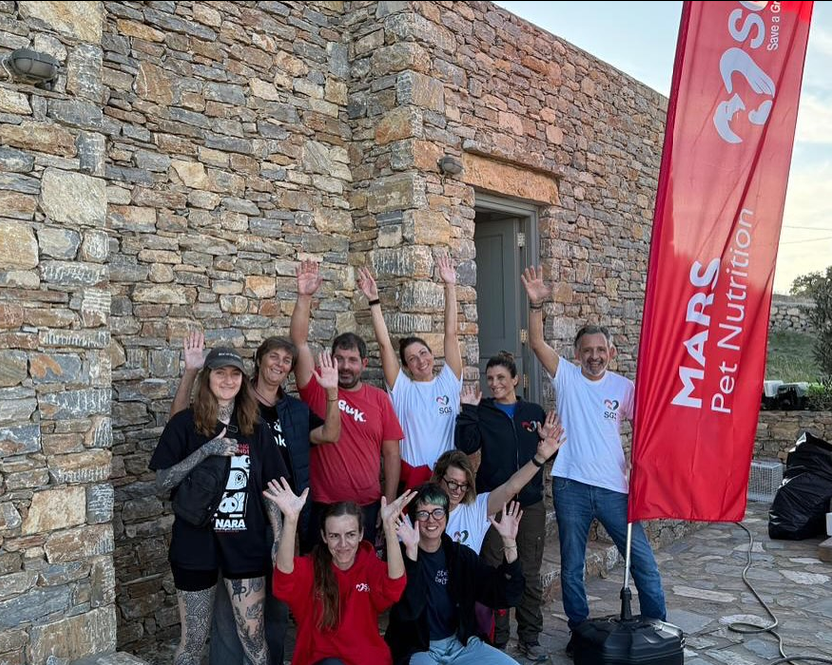 Spay and Neuter Initiative in the Small Cyclades | First Visit