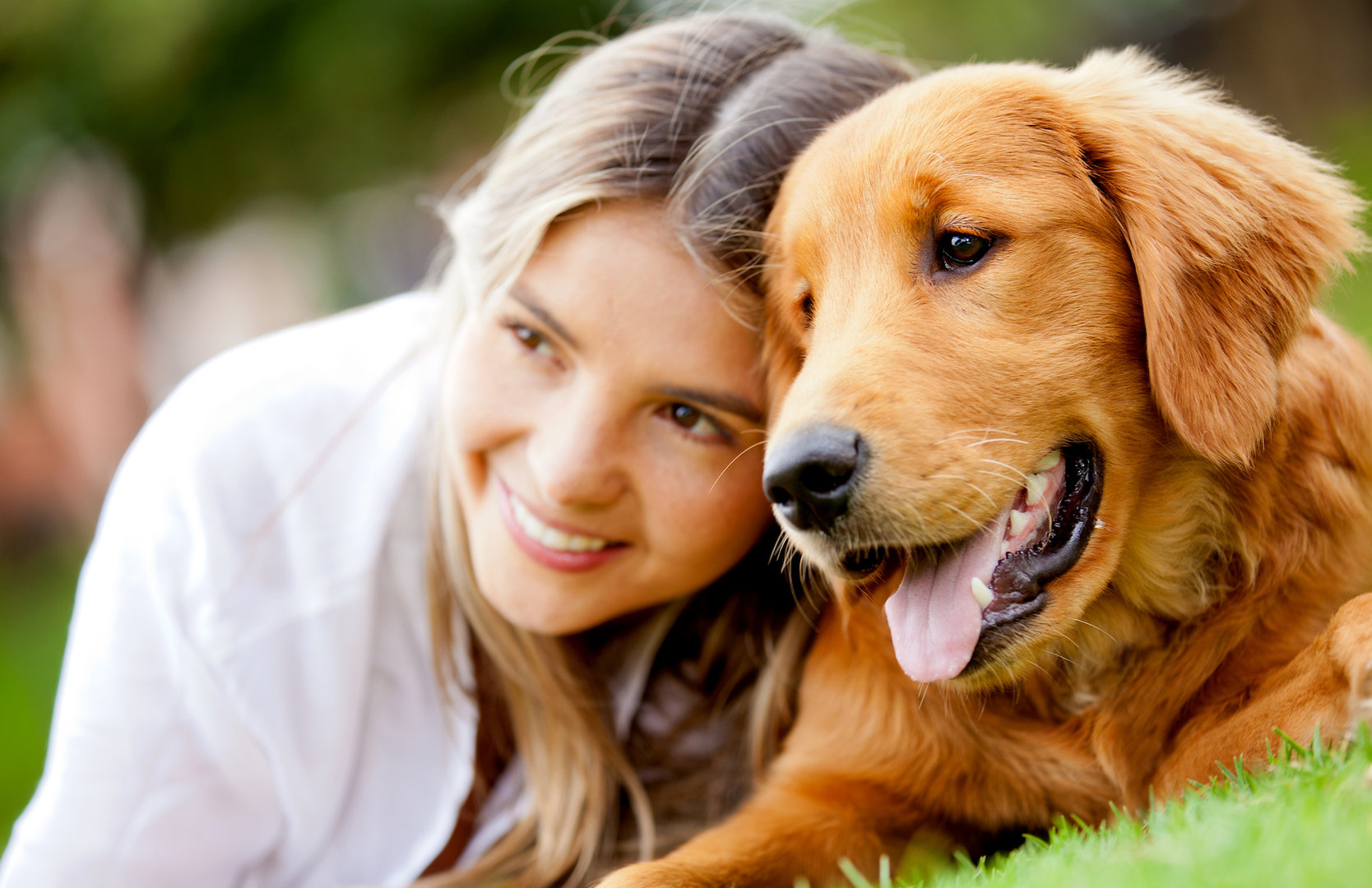 Find clearance a pet