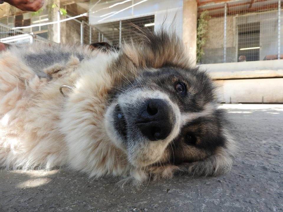ΝΑΛΑ
