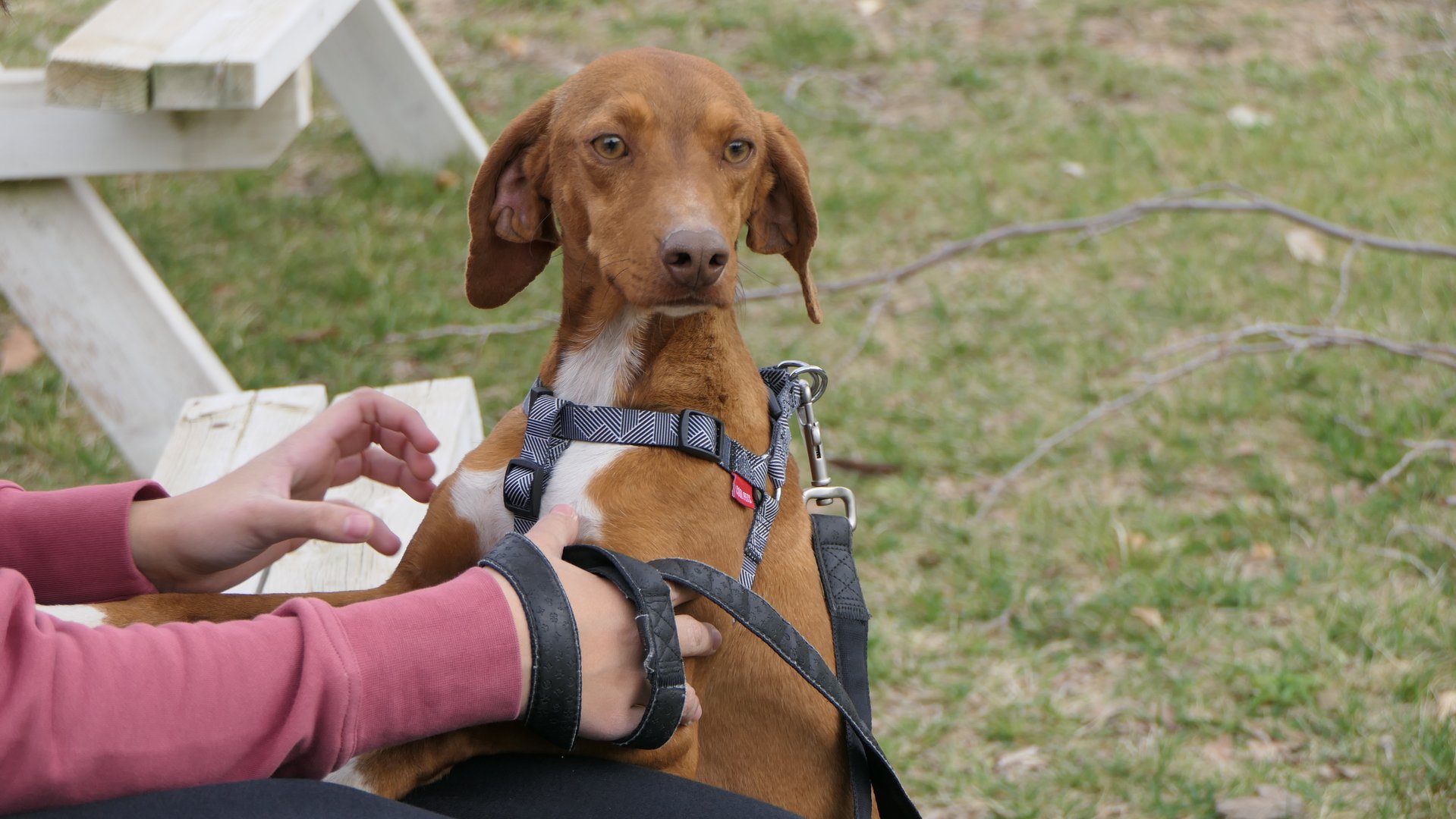 SCRATCH (reserved)