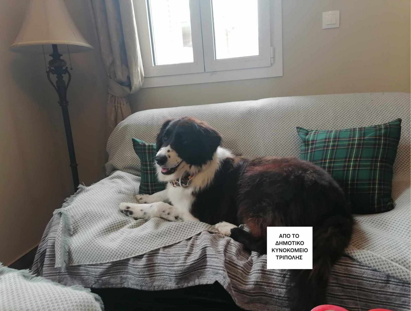 Yasmin (reserved)