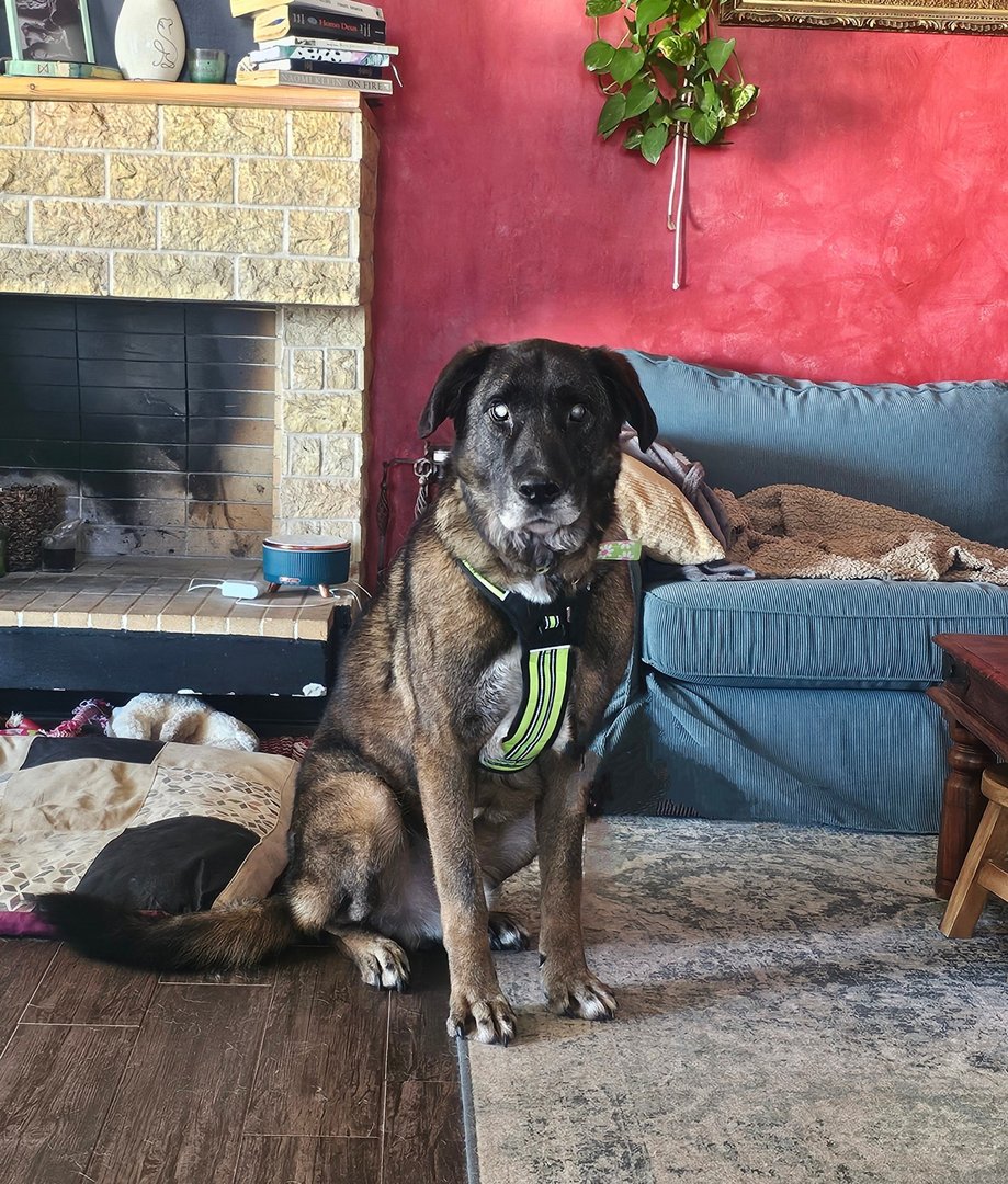 Anton (reserved)