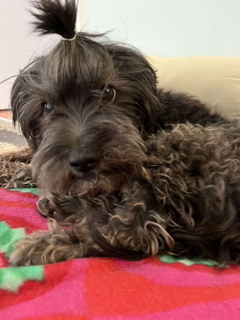 Sebastian (reserved)