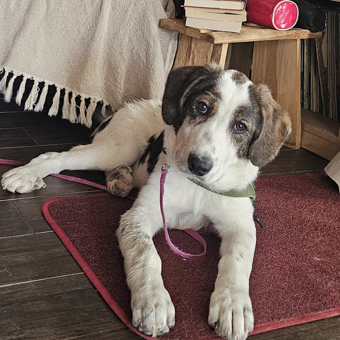 Johnny (reserved)