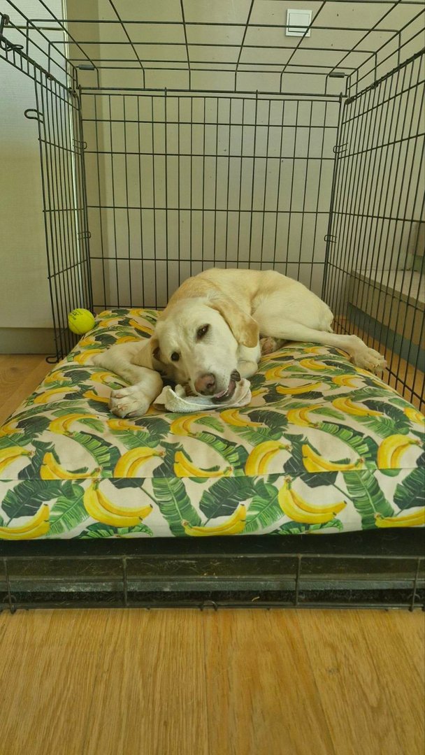Lina (reserved)