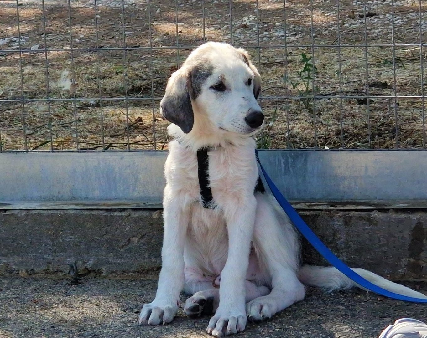 Jerry (reserved)