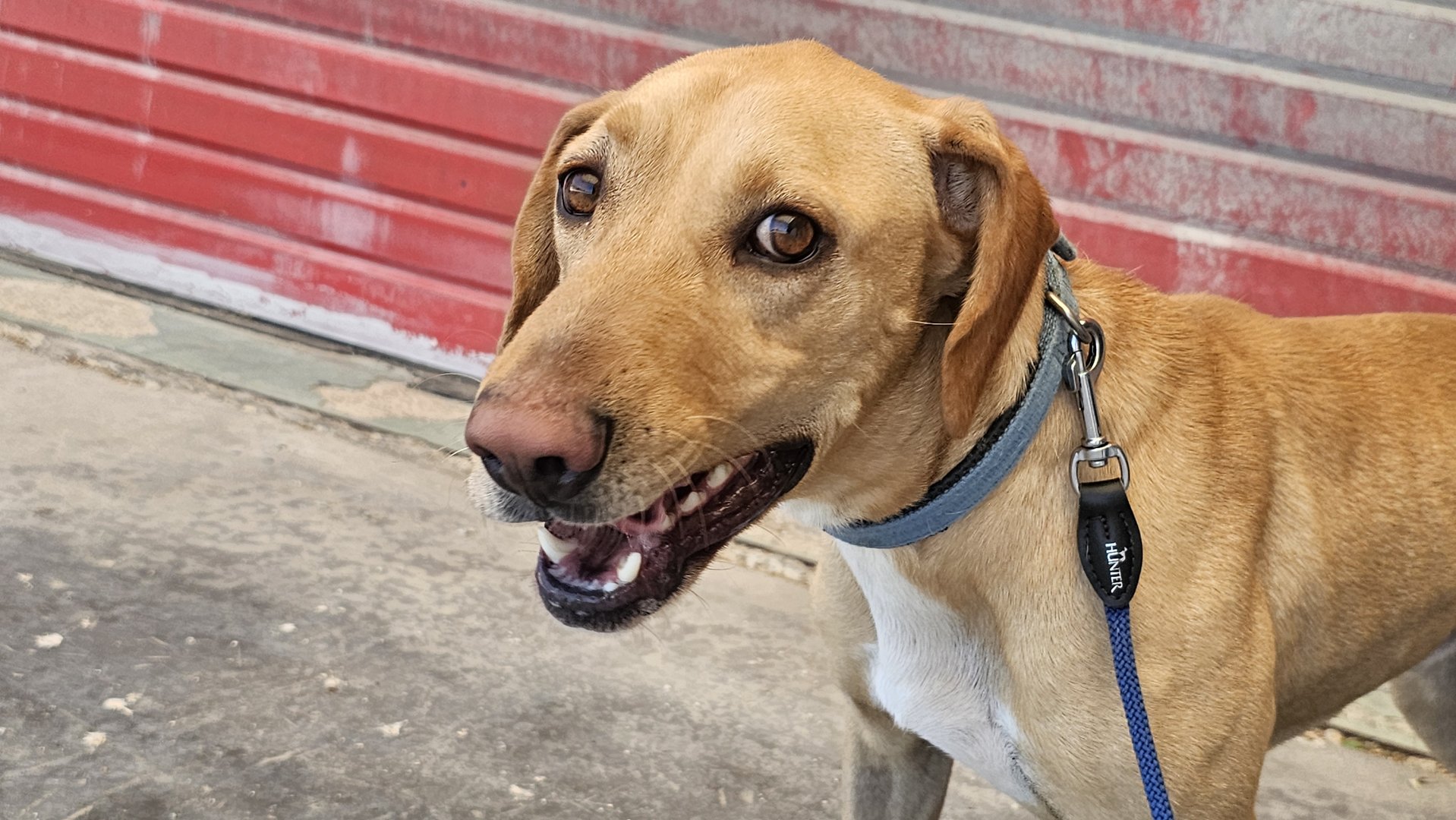 Cooper
