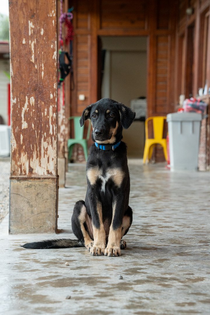 Μητσάκι (reserved)