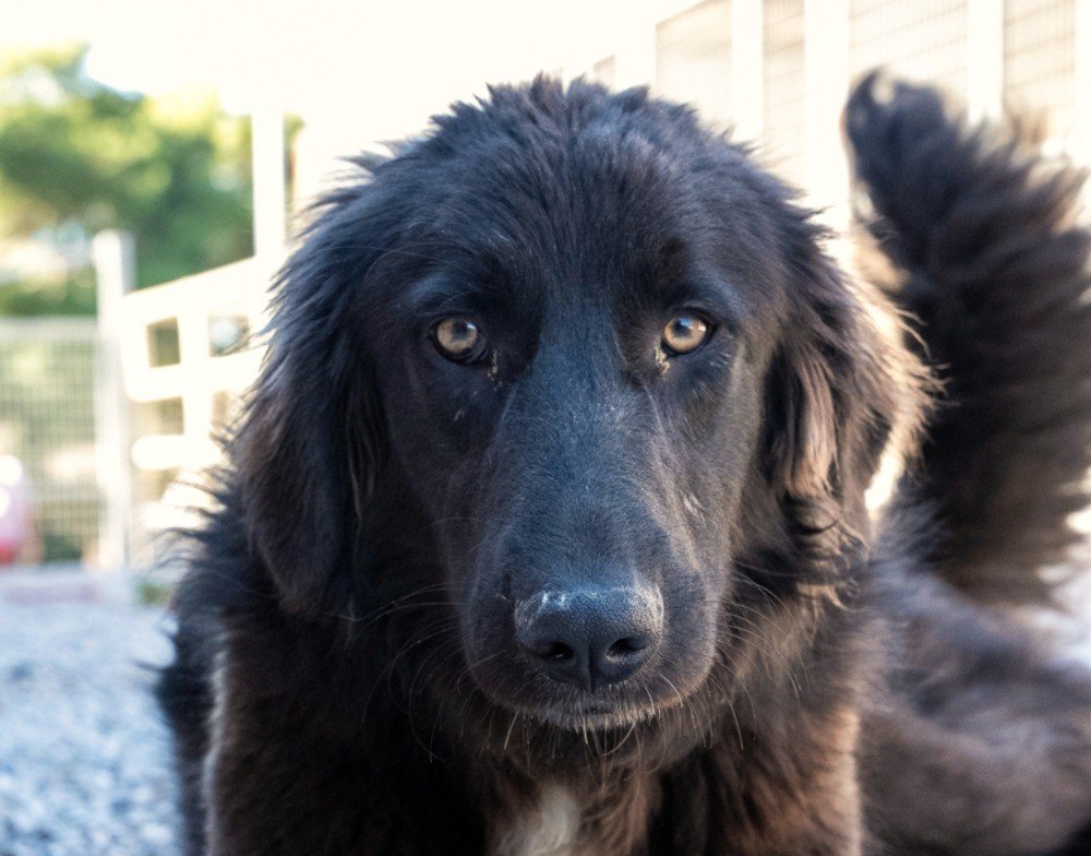 Marley
